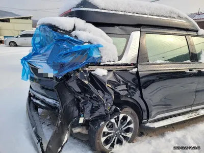 2021 Kia Carnival KNANE813BMS088736 VIN:KNANE813BMS088736