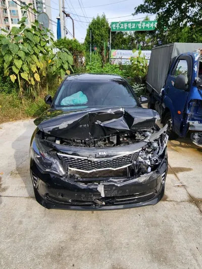 2017 Kia K5 KNAGS411BHA134469 VIN:KNAGS411BHA134469