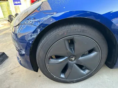 2020 Tesla Model 3 5YJ3E1EB7LF808981 VIN:5YJ3E1EB7LF808981