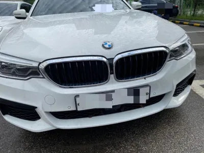 2019 BMW 530 WBAJD310XKB318141 VIN:WBAJD310XKB318141