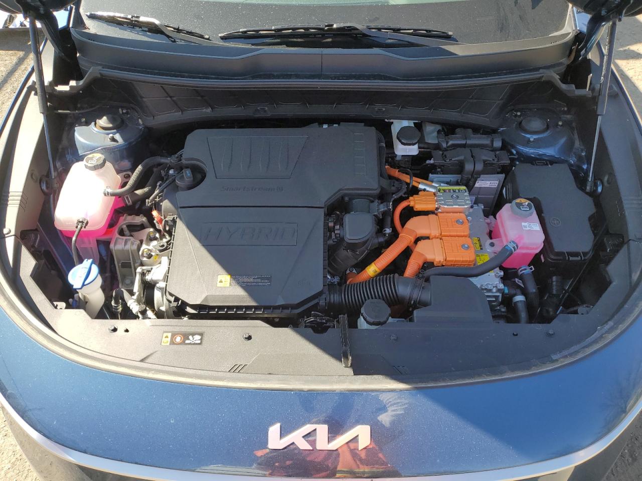 2024 KIA NIRO EX VIN:KNDCR3LE6R5163859