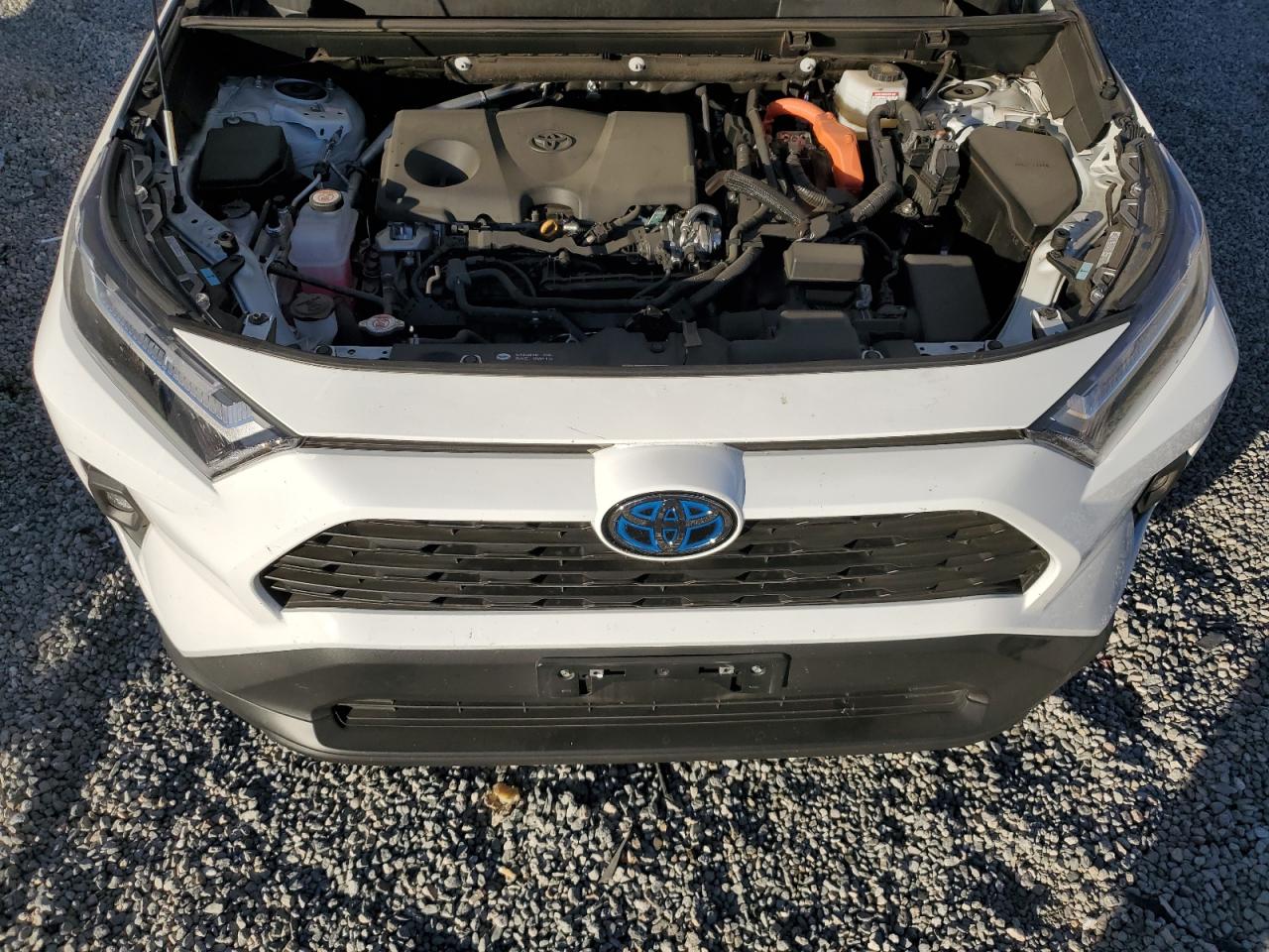 2023 TOYOTA RAV4 WOODLAND EDITION VIN:KNMAT2MT4JP611296