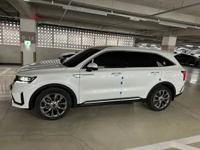 2022 Kia Sorento KNARH81BGNA117713 VIN:KNARH81BGNA117713
