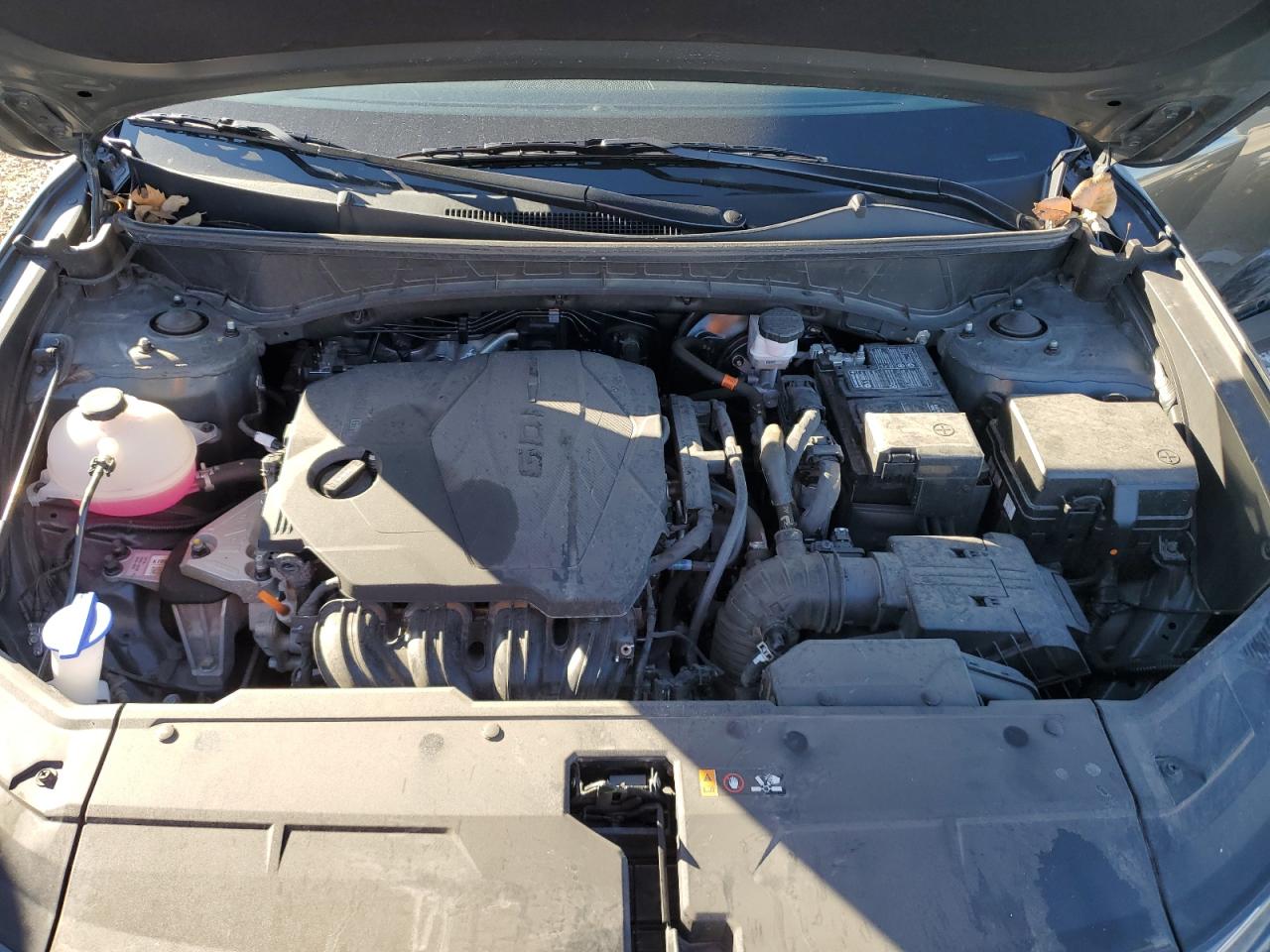 2023 HYUNDAI TUCSON SE VIN:5NMJA3AE5PH261356