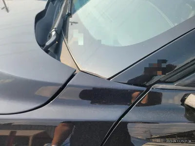 2019 Ford Mustang VIN:
