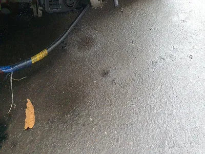 2019 Hyundai Santa FE KMHS281BBKU160055 VIN:KMHS281BBKU160055