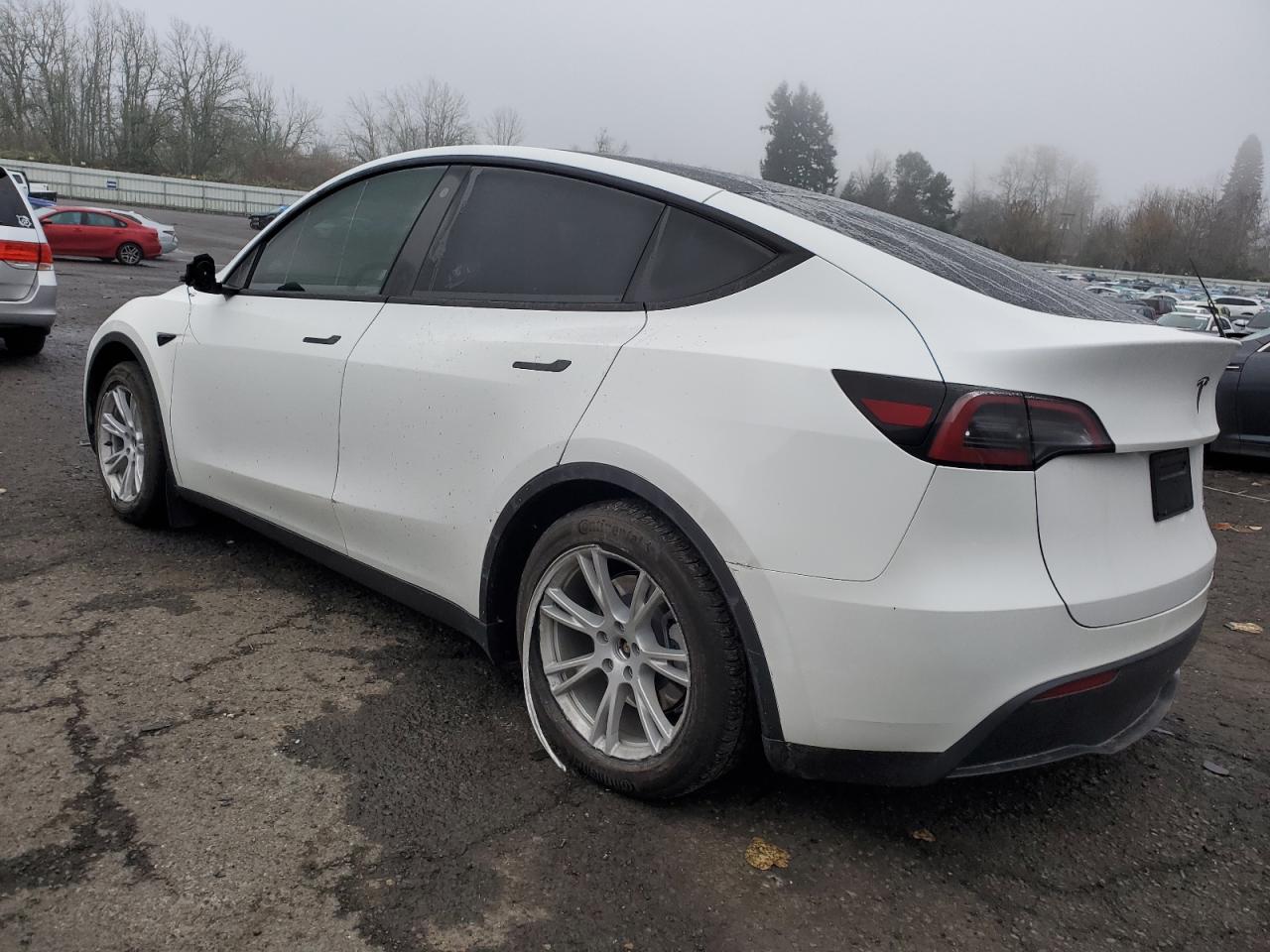 2023 TESLA MODEL Y  VIN:7SAYGDEE0PF774709