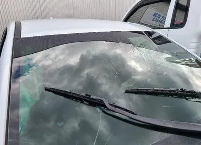 2020 Hyundai Kona KMHK4815GLU556484 VIN:KMHK4815GLU556484