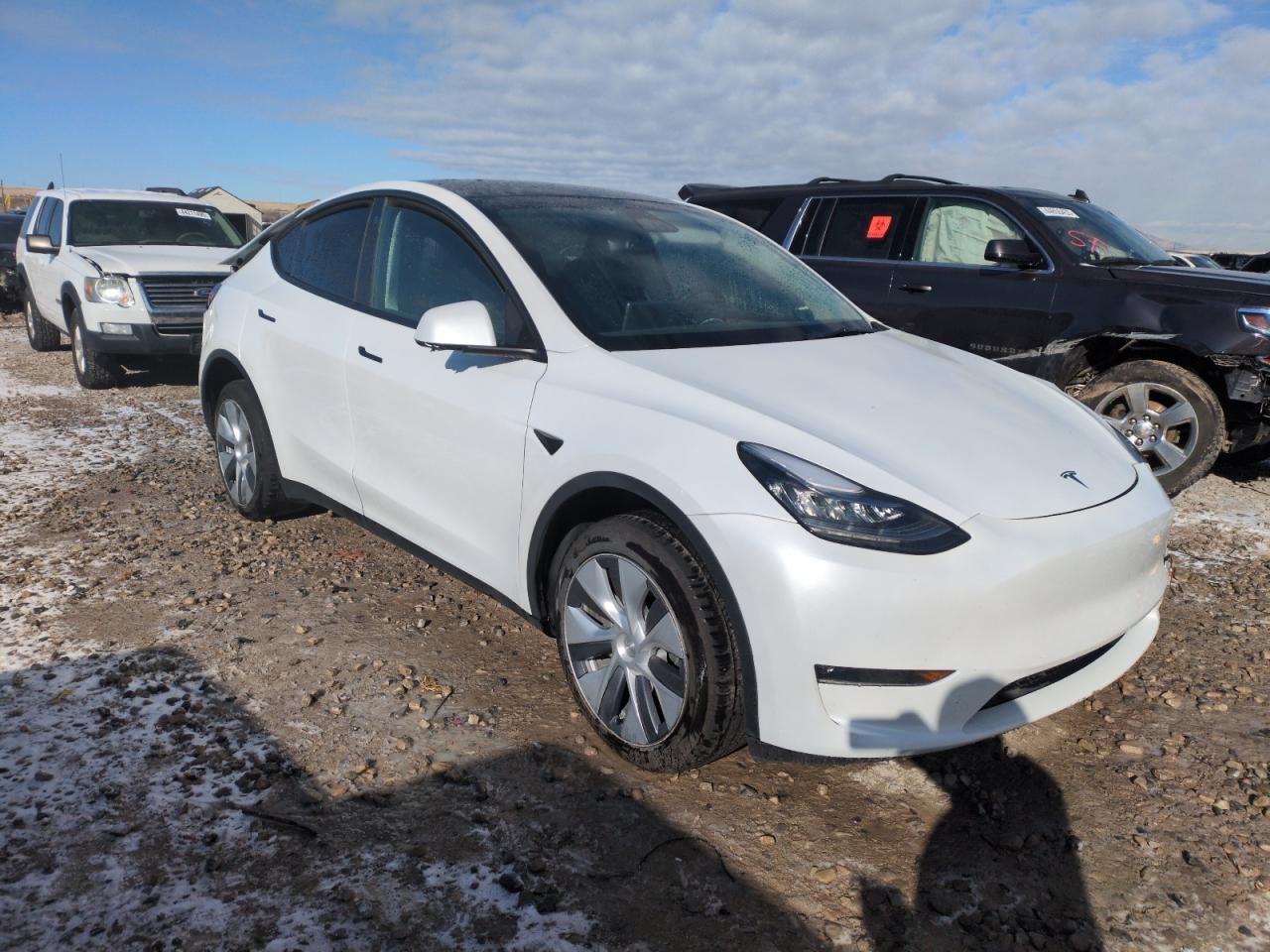 2023 TESLA MODEL Y  VIN:7SAYGDEE9PA129845