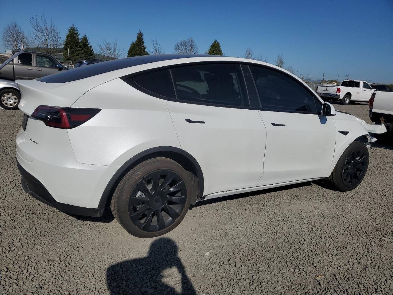 2023 TESLA MODEL Y  VIN:7SAYGDEE5PF751944