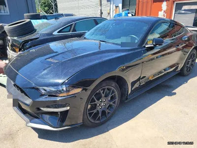 2019 Ford Mustang VIN: