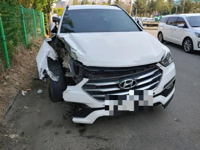 2017 Hyundai Santa FE KMHSW81UBJU841205 VIN:KMHSW81UBJU841205
