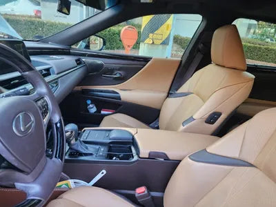 2019 Lexus ES 300 JTHB21B10K2042575 VIN:JTHB21B10K2042575