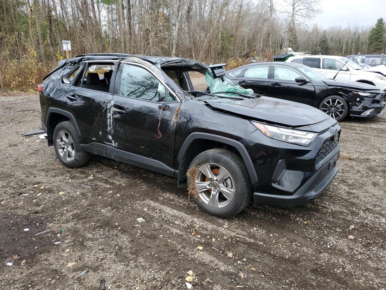 2023 TOYOTA RAV4 XLE VIN:2T3R1RFVXPC351842