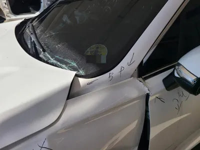 2021 Hyundai Santa FE KMHS281HGMU398339 VIN:KMHS281HGMU398339