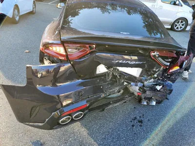 2020 Kia Stinger KNAE351ABLS078711 VIN:KNAE351ABLS078711