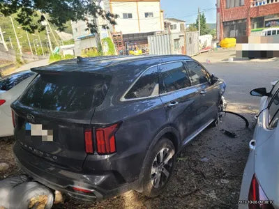 2021 Kia Sorento KNARH81BGMA100573 VIN:KNARH81BGMA100573