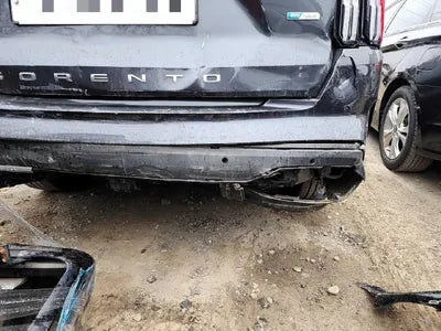 2022 Kia Sorento KNARH81GBNA101047 VIN:KNARH81GBNA101047