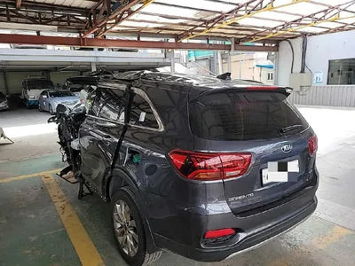 2019 Kia Sorento KNAPS81BBLA557183 VIN:KNAPS81BBLA557183