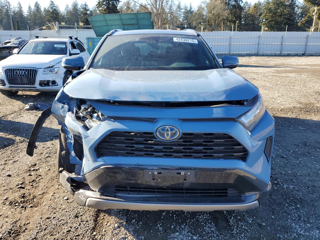 2023 TOYOTA RAV4 SE VIN:4T3T6RFV1PU113092