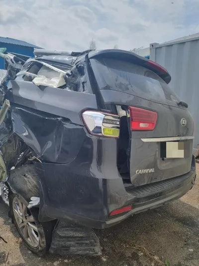 2020 Kia Carnival KNAMC811BLS657374 VIN:KNAMC811BLS657374