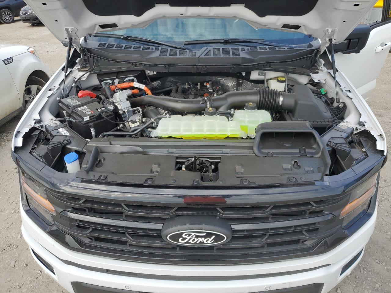 2024 FORD F150 XLT VIN:1FTFW3LD5RFA09411