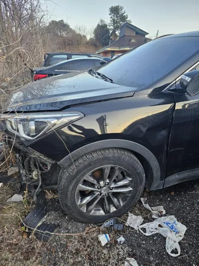 2017 Hyundai Santa FE KMHSW81UBJU827590 VIN:KMHSW81UBJU827590