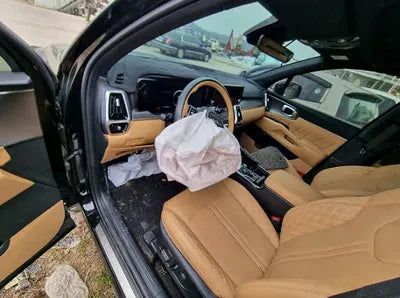 2023 Kia Sorento KNARL81GBPA133236 VIN:KNARL81GBPA133236