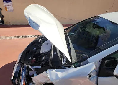 2021 Toyota Prius JTDL9MFU5M3029650 VIN:JTDL9MFU5M3029650