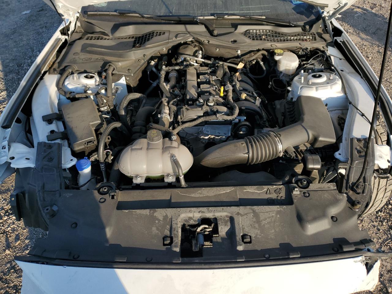 2023 FORD MUSTANG  VIN:1FA6P8TH7P5102226
