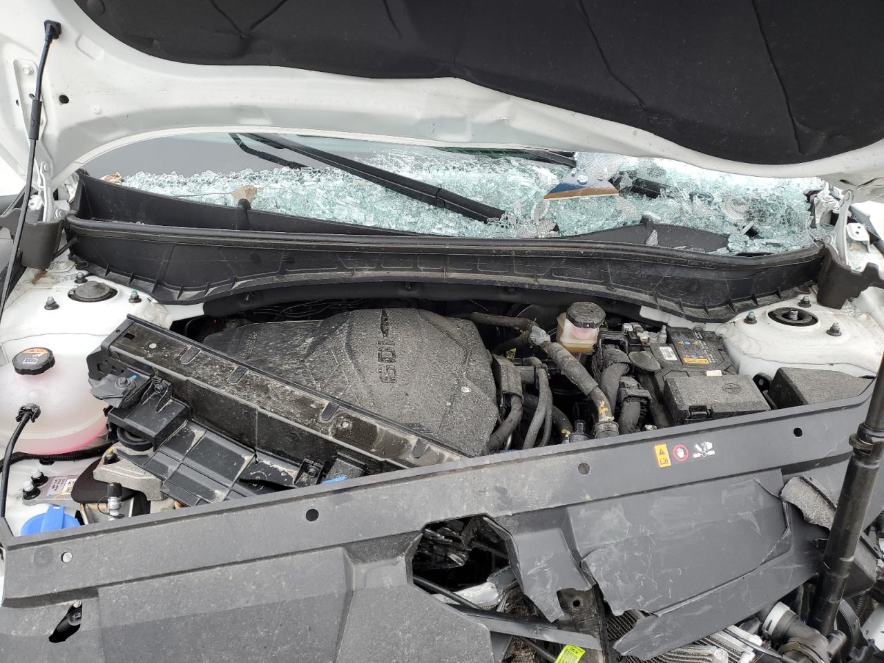 2024 HYUNDAI SANTA CRUZ SEL VIN:5NTJBDDE7RH101470