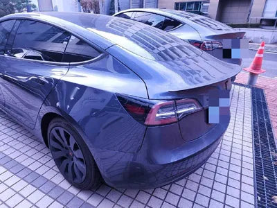 2021 Tesla Model 3 5YJ3E1EB4MF890220 VIN:5YJ3E1EB4MF890220