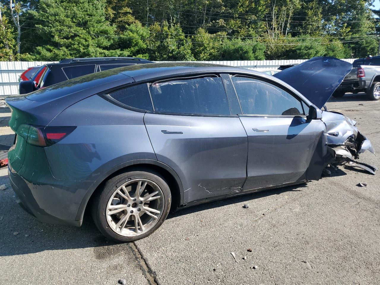 2023 TESLA MODEL Y  VIN:7SAYGDEE8PA087698