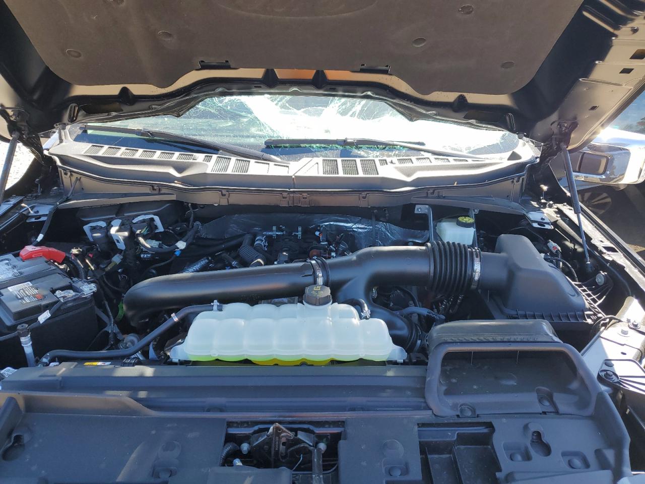 2024 FORD F150 XLT VIN:1FTFW3L8XRKF71721