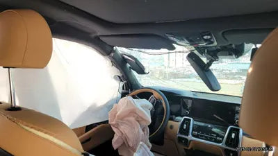 2023 Kia Sorento KNARJ81FGPA201460 VIN:KNARJ81FGPA201460