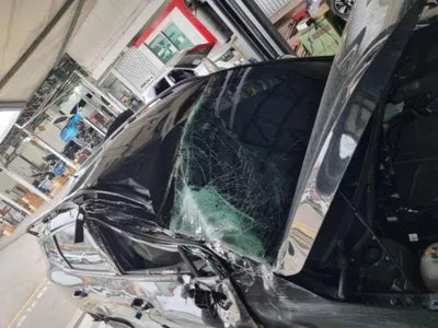 2021 Kia Sportage KNAPX81CDNK024534 VIN:KNAPX81CDNK024534