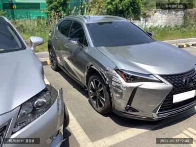 2019 Lexus UX 250 JTHU9JBH6K2014202 VIN:JTHU9JBH6K2014202