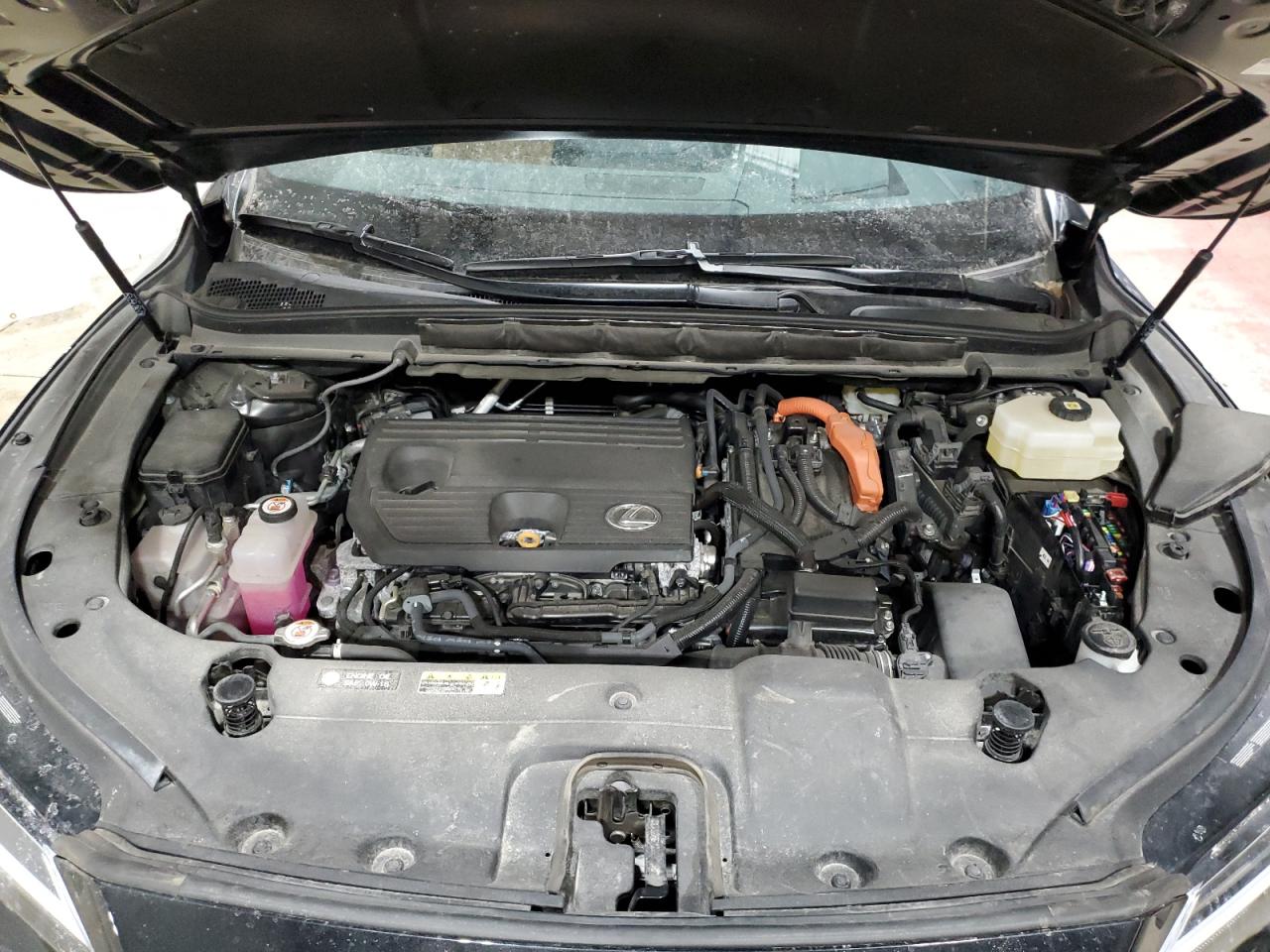 2023 LEXUS RX 350H BASE VIN:2T2BBMCA5PC021520