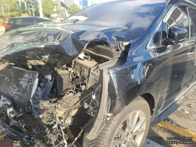 2019 Kia Carnival KNAME811BKS493086 VIN:KNAME811BKS493086