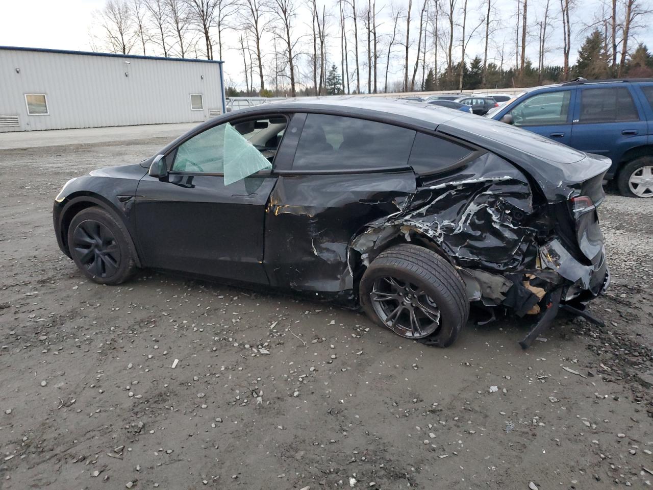 2024 TESLA MODEL Y  VIN:7SAYGAEE8RF116542