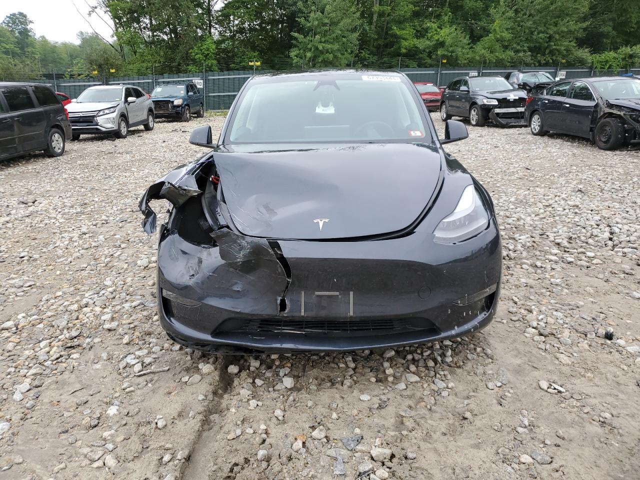 2024 TESLA MODEL Y  VIN:7SAYGDEE7RA241272