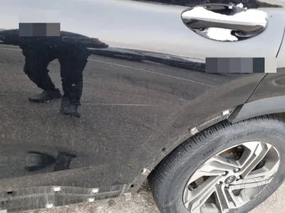 2020 Hyundai Santa FE 1KMHS281BBLU28875 VIN:1KMHS281BBLU28875