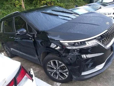 2021 Kia Carnival KNANB81BBMS028316 VIN:KNANB81BBMS028316