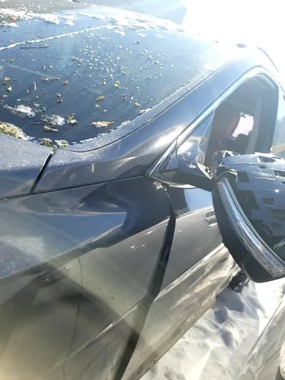 2016 Hyundai Santa FE KMHSW81XBGU540496 VIN:KMHSW81XBGU540496