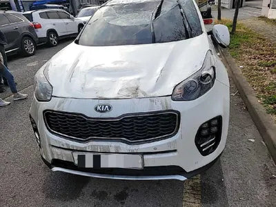 2017 Kia Sportage KNAPR813BJK396095 VIN:KNAPR813BJK396095
