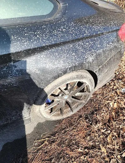 2016 BMW M4 WBS3R9102GK456028 VIN:WBS3R9102GK456028