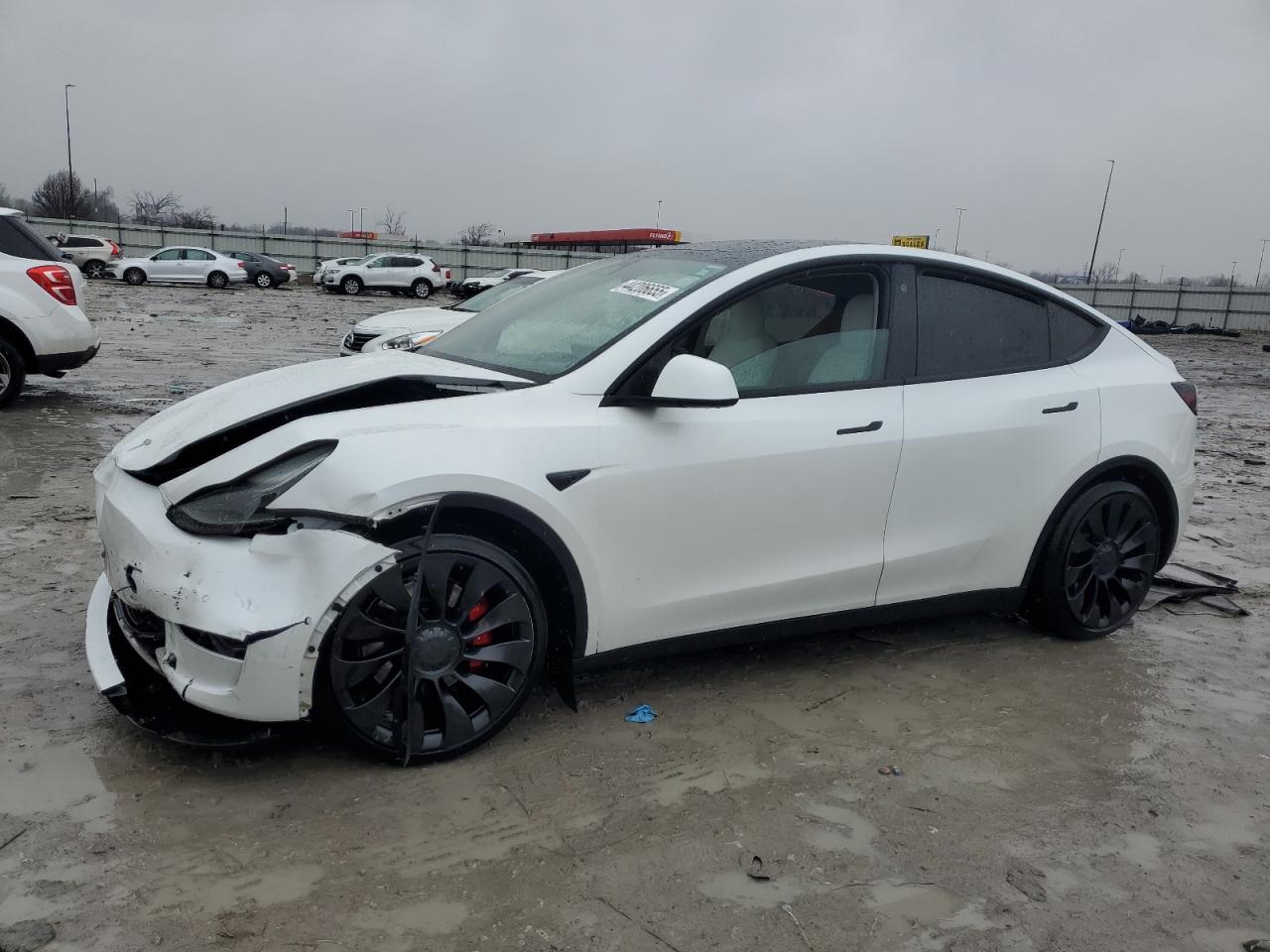 2022 TESLA MODEL Y  VIN:7SAYGDEF0NF539393