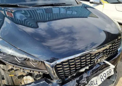 2019 Kia Sorento KNAPH81BBKA522715 VIN:KNAPH81BBKA522715