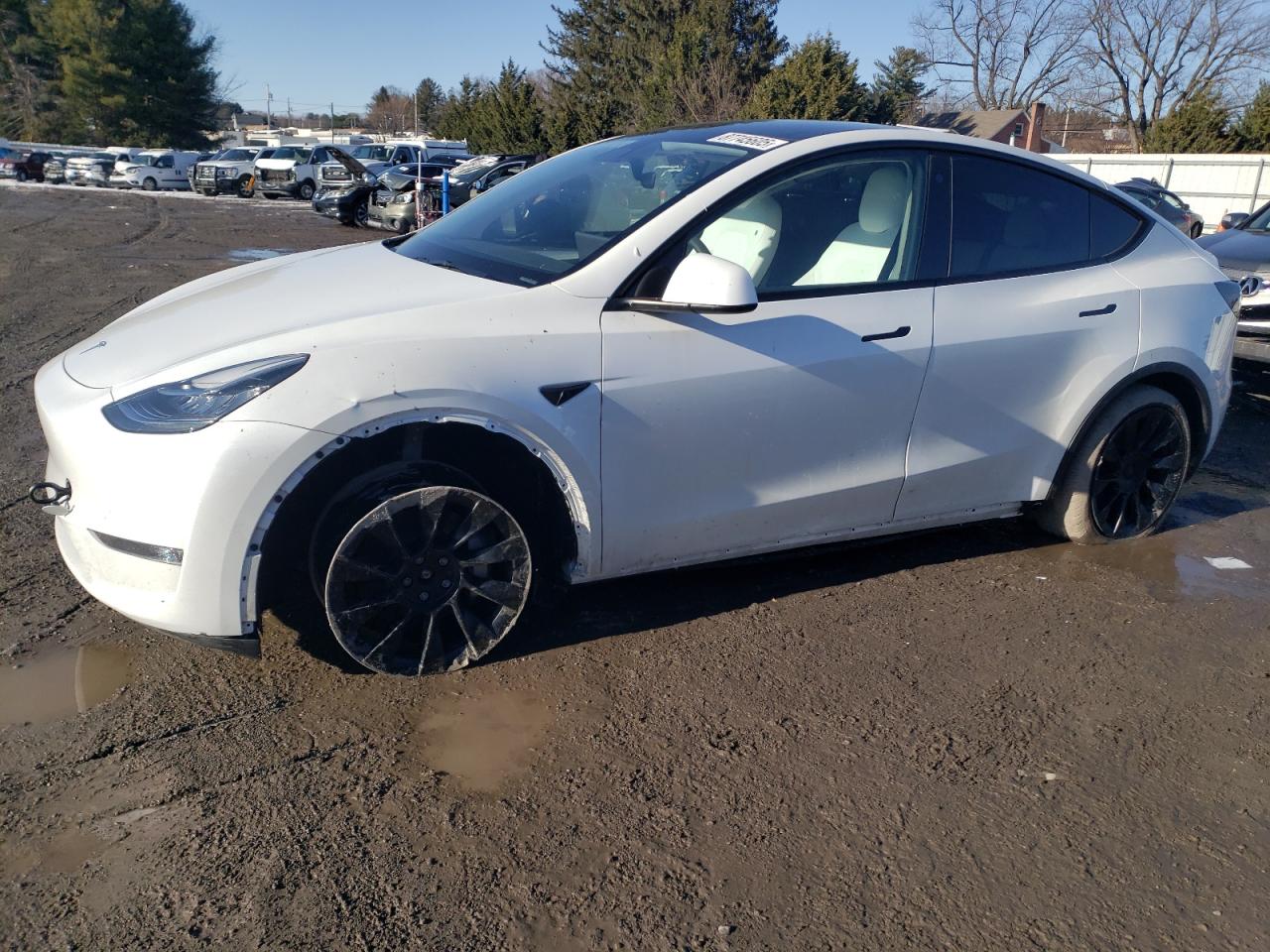 2023 TESLA MODEL Y  VIN:7SAYGDEE7PA105995