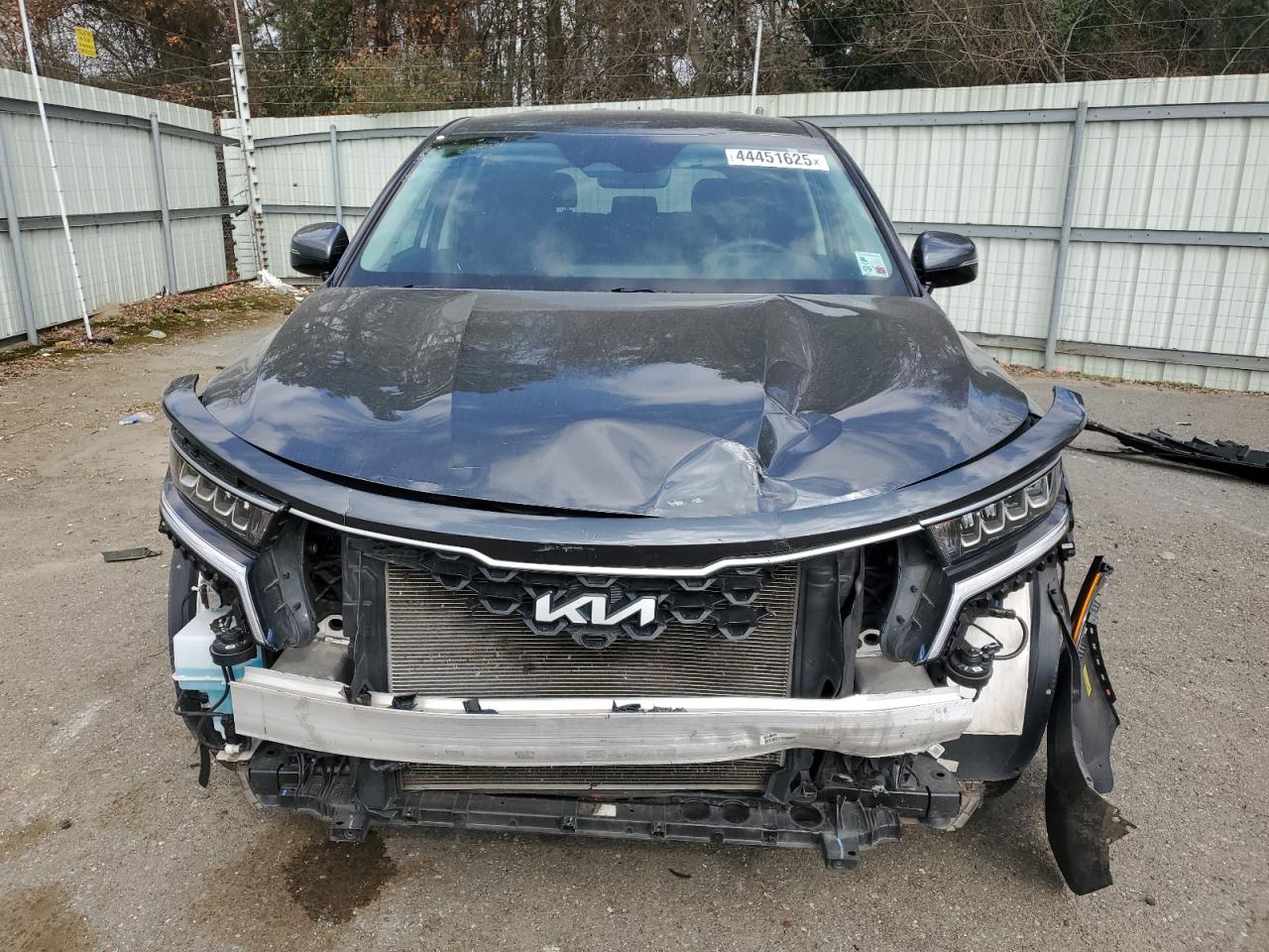 2023 KIA SORENTO LX VIN:5XYRG4LC8PG243107